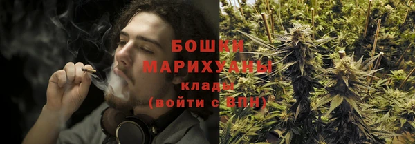 бошки Богданович